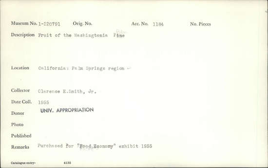 Documentation associated with Hearst Museum object titled Fruit, accession number 1-220791, described as Fruit of the Washingtonia Palm.