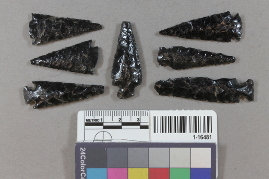 Hearst Museum object 4 of 4 titled Projectile points, accession number 1-16481, described as straight-edged obsidian arrowpoints