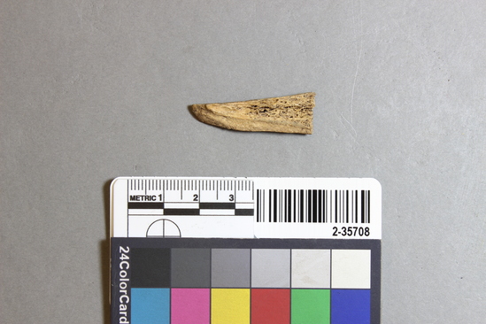 Hearst Museum object titled Mammal bone, accession number 2-35708, described as Deer, metapodial fragment.