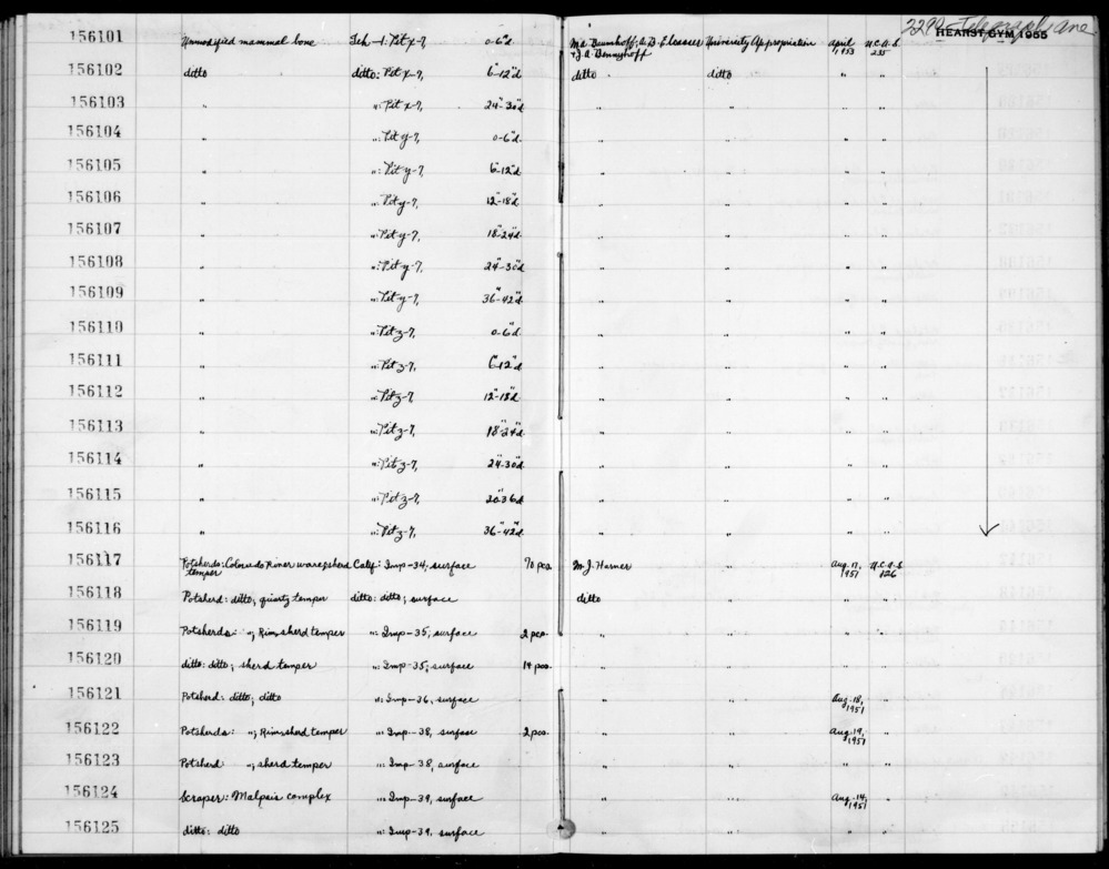 Documentation associated with Hearst Museum object titled Bone tool fragment, accession number 1-156102, described as Unmodified, mammal.