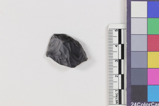 Hearst Museum object titled Flake, accession number 16-14415, described as Projectile point fragment; obsidian; triangular; weight: 1.45 grams; length: 1.3 cm; width: 2.1 cm; depth: 0.59 cm.