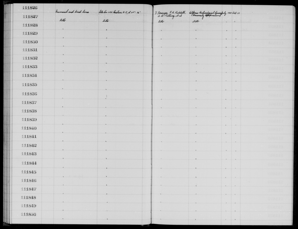 Documentation associated with Hearst Museum object titled Faunal remains, accession number 1-111835, described as Mammal and bird.