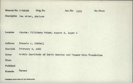 Documentation associated with Hearst Museum object titled Mammal bone, accession number 2-36065, described as Burned sea otter phalanx.
