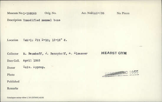 Documentation associated with Hearst Museum object titled Faunal remains, accession number 1-156055, described as Unmodified, mammal.