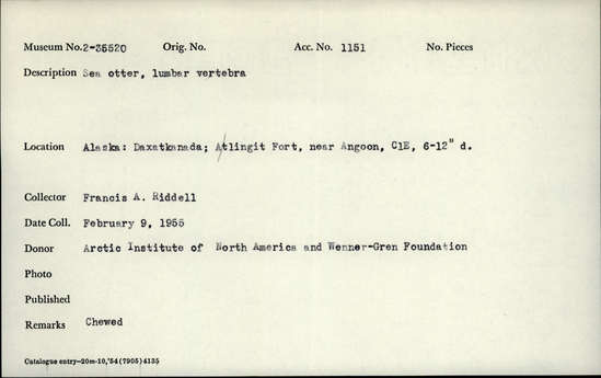 Documentation associated with Hearst Museum object titled Mammal bone, accession number 2-35520, described as Sea otter, lumbar vertebra. Chewed.