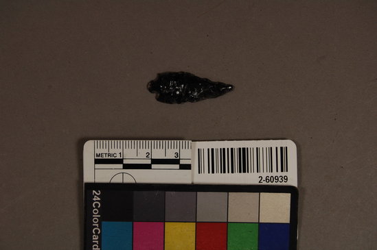 Hearst Museum object titled Lithic, accession number 2-60939, described as No description given on catalog card.