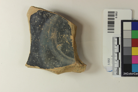 Hearst Museum object titled Potsherds, accession number 8-5852, described as Black polished potsherds