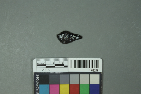 Hearst Museum object titled Point, accession number 1-66246, described as Obsidian.