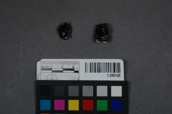 Hearst Museum object titled Stone, accession number 1-250125, described as coal fragment