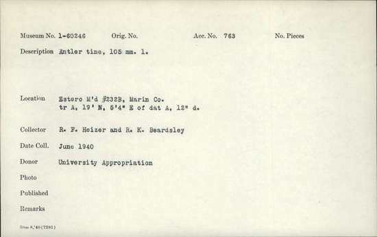 Documentation associated with Hearst Museum object titled Antler tine, accession number 1-60246, described as Antler tine.