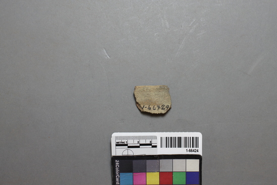 Hearst Museum object titled Potsherds, accession number 1-66424, described as Colorado Beige I, small jar rim.