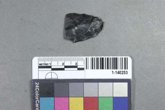 Hearst Museum object titled Blade fragment, accession number 1-140253, described as Obsidian.