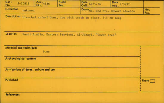Documentation associated with Hearst Museum object titled Bone, accession number 9-20818, described as Bleached animal bone; jaw with teeth in place.