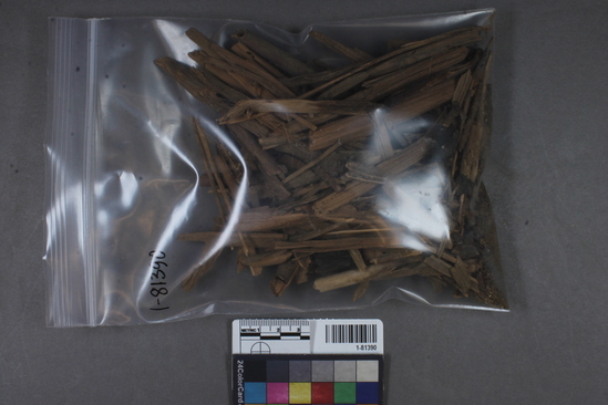 Hearst Museum object titled Refuse, accession number 1-81390, described as Sticks, reed fragments, etc.