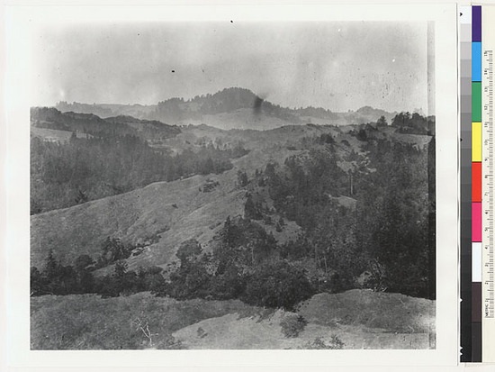 Hearst Museum object titled Black-and-white negative, accession number 15-4541, described as Landscape