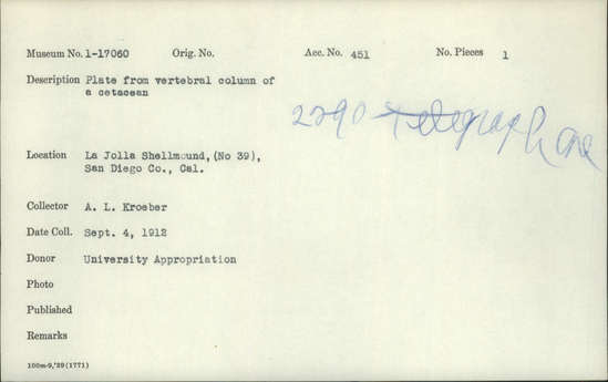 Documentation associated with Hearst Museum object titled Faunal remains, accession number 1-17060, described as Plate from vertebral column of a cetacean.