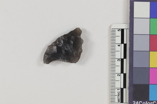 Hearst Museum object 2 of 2 titled Flake, accession number 16-14416, described as Projectile point fragment; obsidian; triangular; weight: 4.33 grams; length: 3.4 cm; width: 2.07 cm; depth: 0.65 cm.