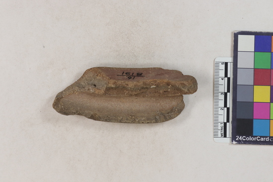 Hearst Museum object 76 of 160 titled Potsherd, accession number 16-8191, described as Potsherd: rims Section of Manta on beach currently inhabited. Numbers  8111 to 8194 are sherds picked up on beach at low tide.