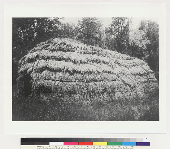 Hearst Museum object titled Black-and-white negative, accession number 15-6405, described as Side view of tule thatched Indian house