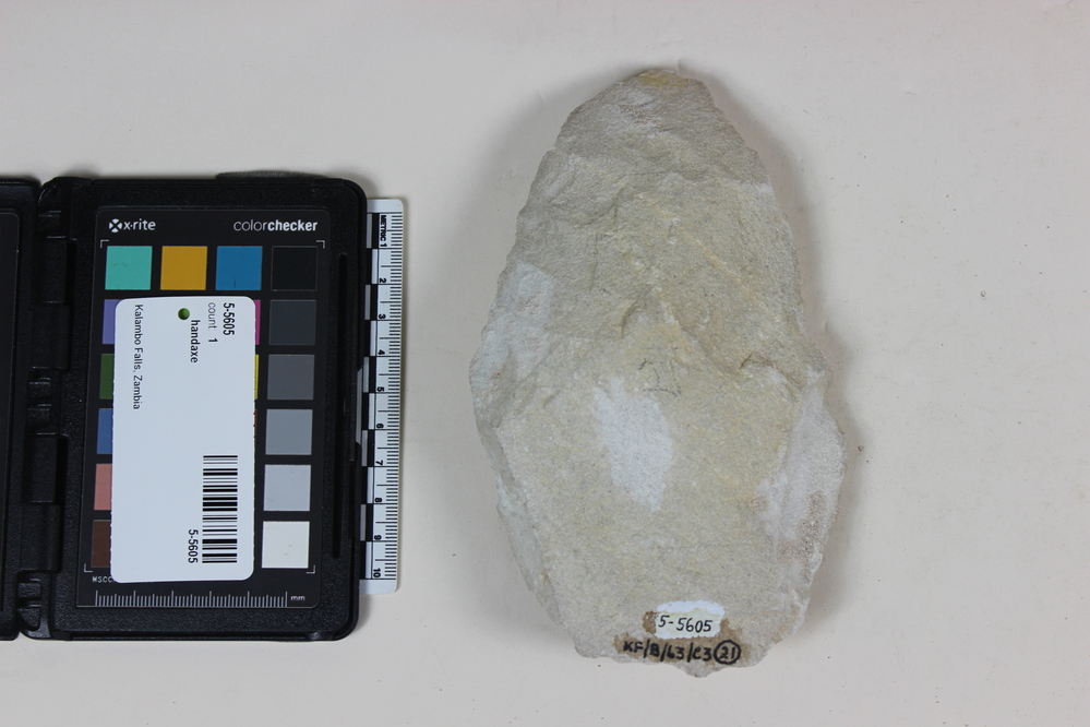 Hearst Museum object titled Handaxe, accession number 5-5605, described as Chert hand axe; L. 17 cm