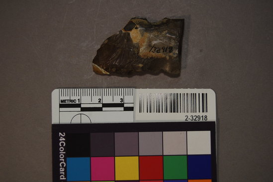 Hearst Museum object titled Scraper/blade fragment, accession number 2-32918, described as Chert scraper or blade fragment.