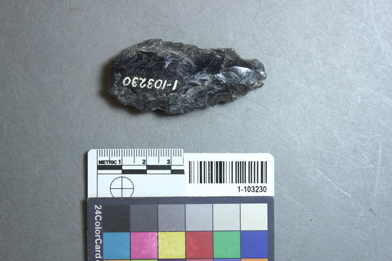 Hearst Museum object titled Point, accession number 1-103230, described as Obsidian.
