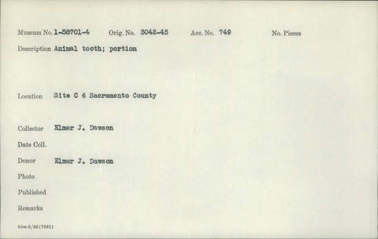 Documentation associated with Hearst Museum object titled Tooth, accession number 1-58703, described as Animal, portion