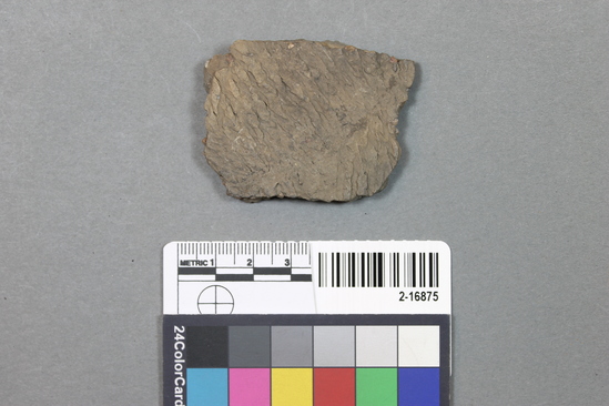 Hearst Museum object titled Potsherd, accession number 2-16875, described as Sherd; body, grit-tempered, cord-wrapped, paddled