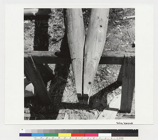 Hearst Museum object titled Black-and-white negative, accession number 15-19300, described as Placement of two double rafters in relation to each other