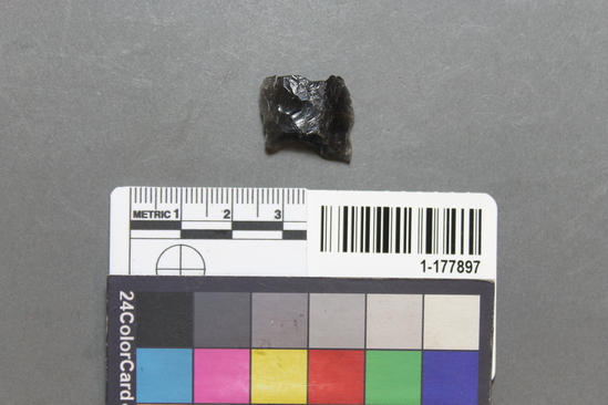 Hearst Museum object titled Projectile point, accession number 1-177897, described as Obsidian.