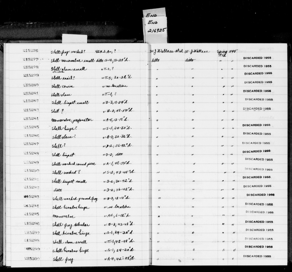 Documentation associated with Hearst Museum object titled Shell fragment, accession number 1-215296, described as Shell fragment, tubular shell fragment.