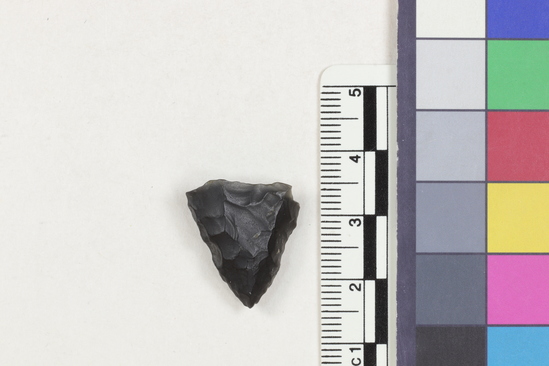 Hearst Museum object 1 of 2 titled Flake fragment, accession number 16-14379, described as Projectile point fragment; obsidian; triangular; weight: 2.12 grams; length: 1.99 cm; width: 1.8 cm; depth: 0.69 cm.