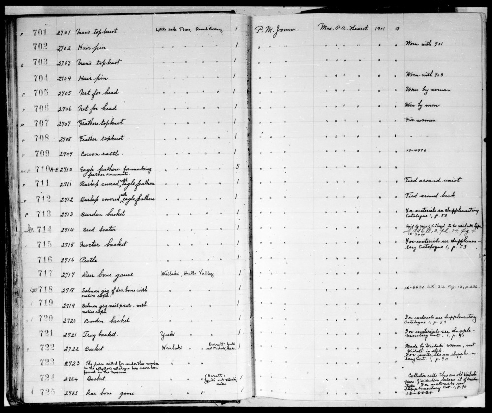 Documentation associated with Hearst Museum object titled Rattle, accession number 1-709, described as Cocoon. Cluster of silk moth cocoons and feathers, bound with cotton twine and quills.  Made with Antheraea polyphemus, Cramer.