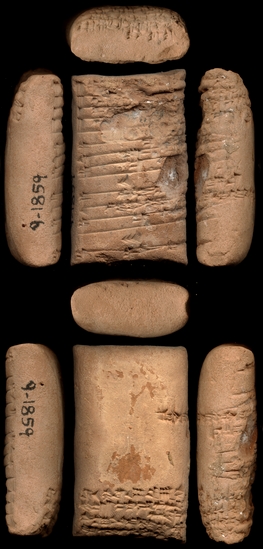 Hearst Museum object titled Cuneiform tablet, accession number 9-1859, described as Cuneiform tablet; 72 x 44 x 25 mm