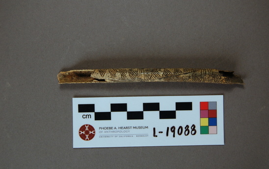 Hearst Museum object titled Tube, accession number L-19088, described as Incised bird bone