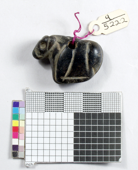 Hearst Museum object titled Amulet, accession number 9-5222, described as Animal amulet: kneeling cow, black stone, pierced for suspension