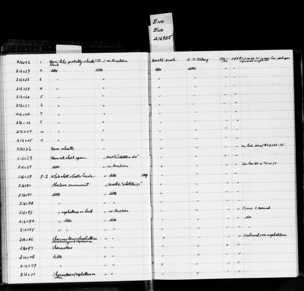 Documentation associated with Hearst Museum object titled Charmstone, accession number 1-216046, described as charmstone with asphaltum, stem bearing cord impressions.