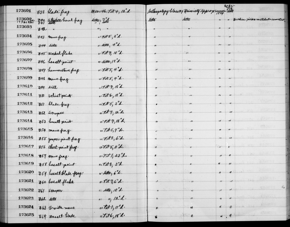 Documentation associated with Hearst Museum object titled Blade, accession number 1-173612, described as Blade fragment