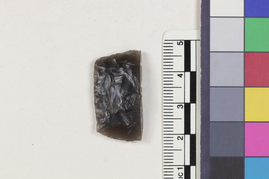 Hearst Museum object titled Flake, accession number 16-14394, described as Projectile point fragment; obsidian; triangular; weight: 3.25 grams; length: 1.55 cm; width: 2.9 cm; depth: 0.6 cm; straight base.