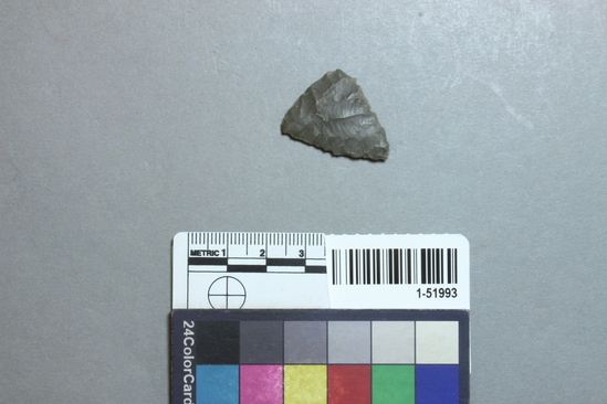 Hearst Museum object titled Projectile point, accession number 1-51993, described as Arrowpoint