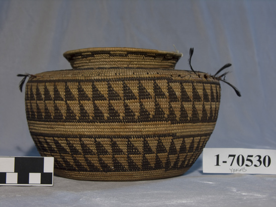 Hearst Museum object titled Basket, accession number 1-70530, described as Coiled, bottle neck. Feathered on shoulder.  Materials: grass coil, cladium sewing, design in black and redbud.