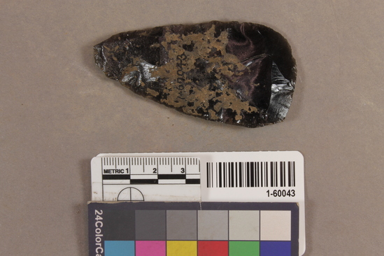 Hearst Museum object 1 of 3 titled Projectile point, accession number 1-60043, described as arrowpoint, obsidian