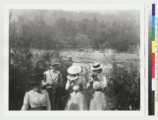 Hearst Museum object titled Black-and-white negative, accession number 15-2889, described as Acorn feast