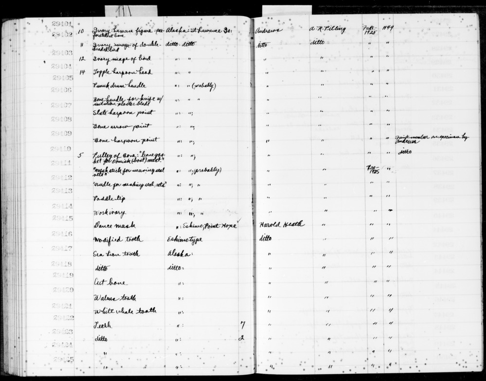 Documentation associated with Hearst Museum object titled Stick, accession number 2-29411, described as “Mesh stick for weaving seal nets”