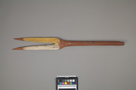 Hearst Museum object titled Fighting stick, accession number 11-39671, no description available.