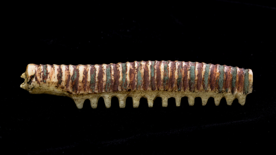 Hearst Museum object titled Insect figurine, accession number 2-6266, described as Carved figure of caterpillar or millipede with carved feet and feelers; grooves on back filled with red and blue-green pigments. Notice: Image restricted due to its potentially sensitive nature. Contact Museum to request access.