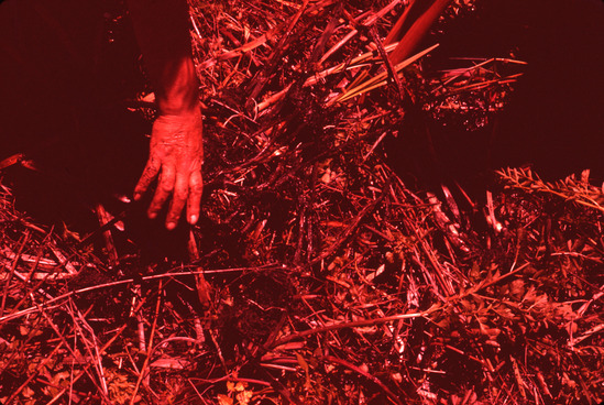 Hearst Museum object titled Color slide, accession number 25-5736, no description available.