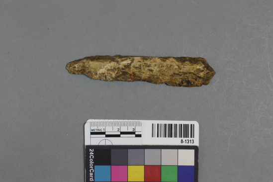 Hearst Museum object titled Spearhead, accession number 8-1313, described as Dark gray spearhead