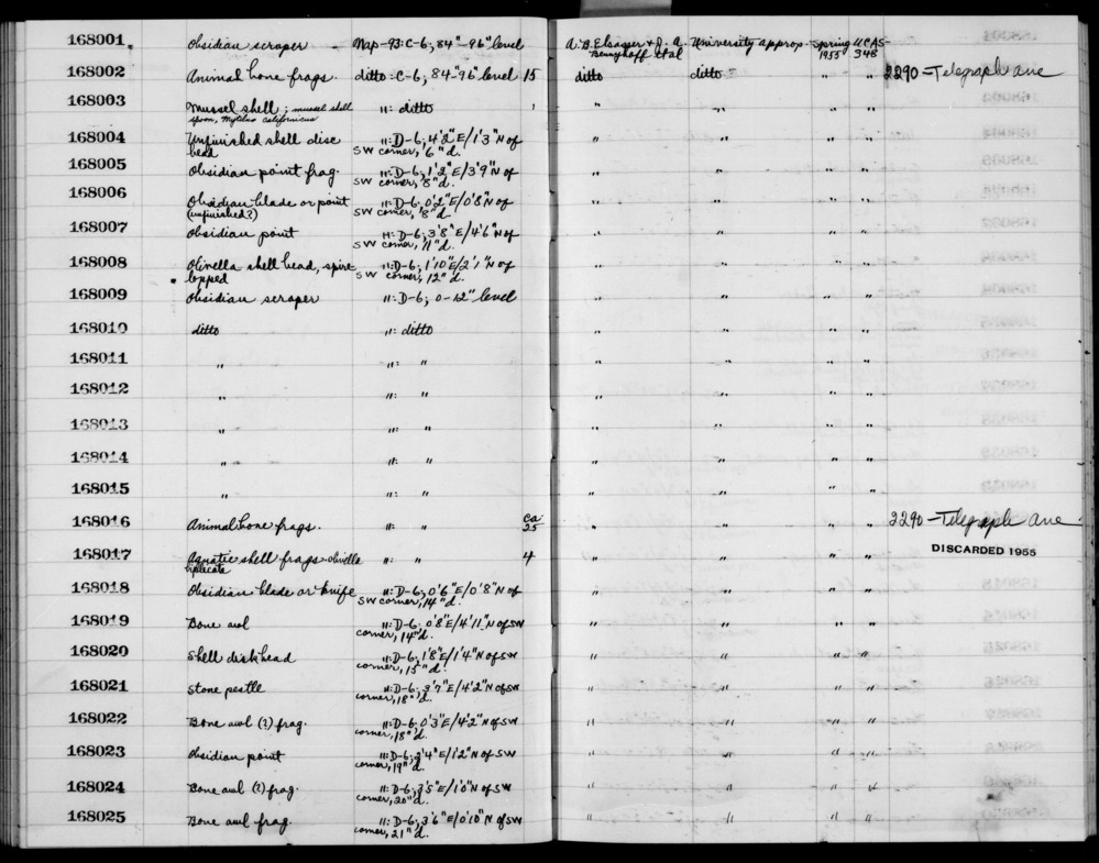 Documentation associated with Hearst Museum object titled Metatarsal fragment, accession number 1-168016.13, no description available.