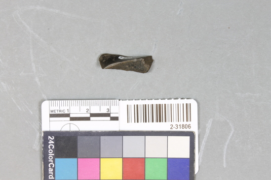 Hearst Museum object titled Obsidian fragment, accession number 2-31806, described as Worked.